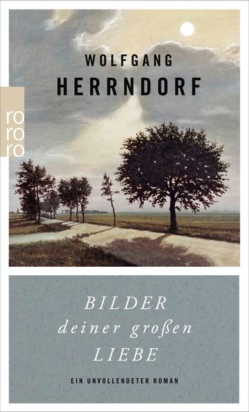 Wolfgang Herrndorf: Bilder deiner großen Liebe
