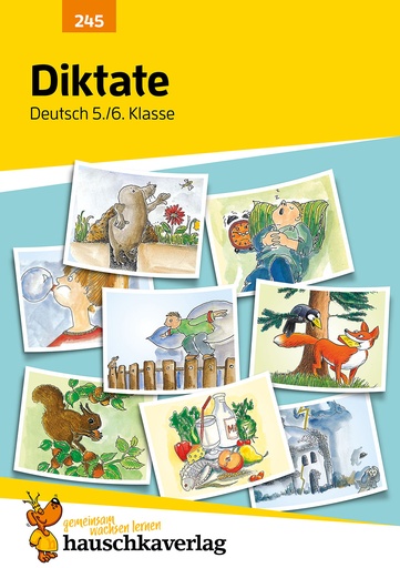 [978-3-88100-245-5] Diktate 5./6. Klasse, A5-Heft